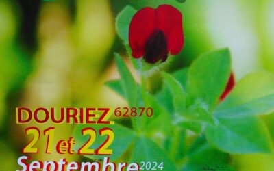 Les arts en campagne