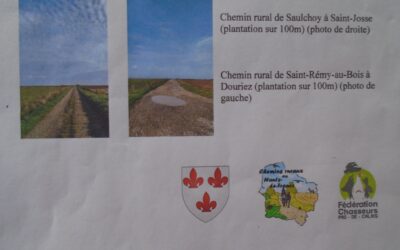 Invitation aux habitants à la plantation de haie